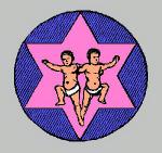 Gemini -- The Twins